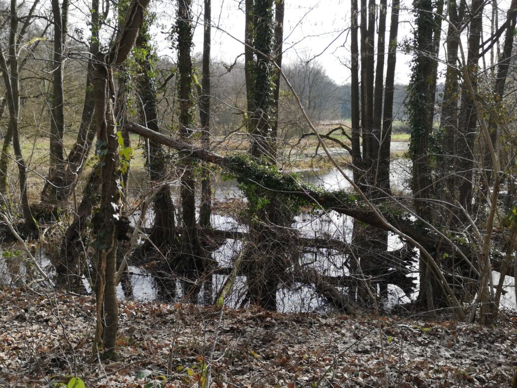 Wandern bei den Krickenbecker Seen