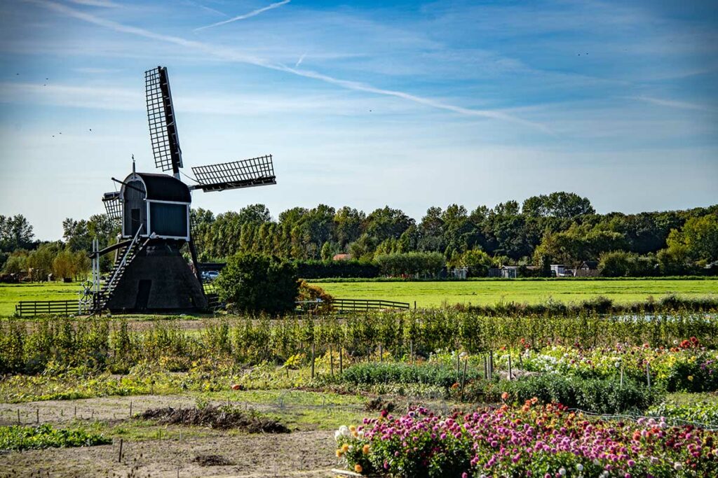 Bei Windmühlen denken viele direkt an Holland