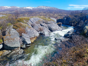 Dovrefjell10jpg