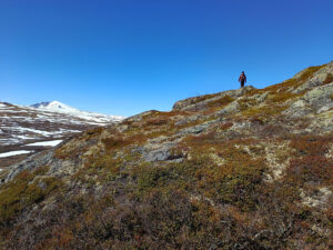 Dovrefjell3