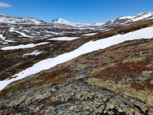 Dovrefjell4
