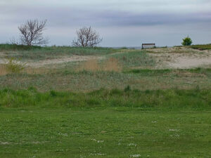 Malmoe strand2